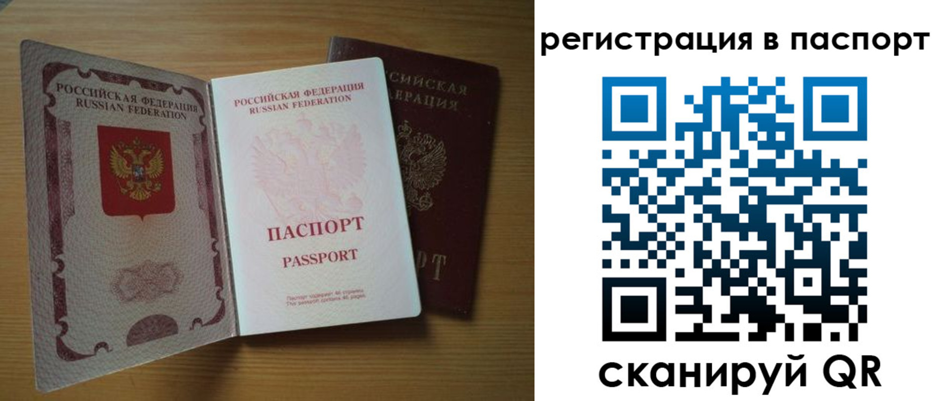 прописка 2025 в Волосово